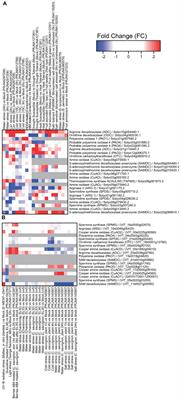 Transcriptional Modulation of Polyamine Metabolism in Fruit Species Under <mark class="highlighted">Abiotic and Biotic Stress</mark>